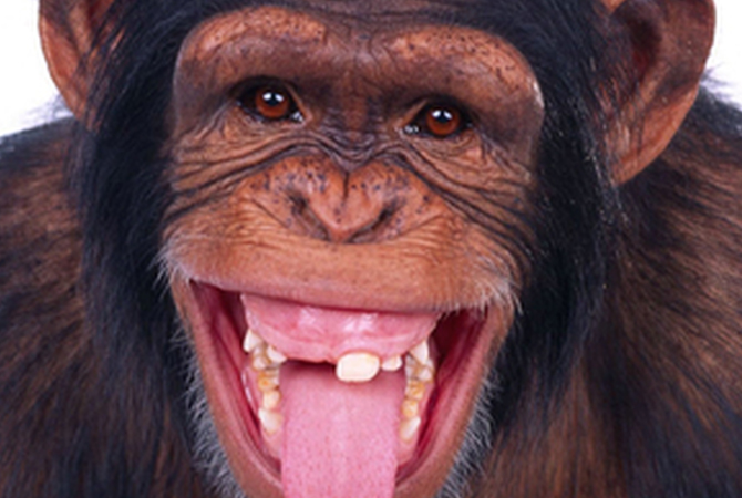 See your dentist this school holidays